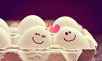 5 cây số và rất nhiều yêu thương (Bài đọc hiểu tiếng Việt lớp 5 - đề số 31)